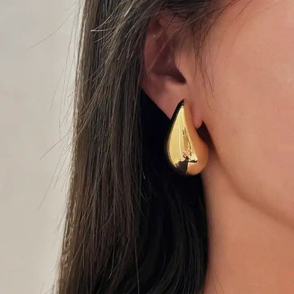 Stylish Hoops Earrings