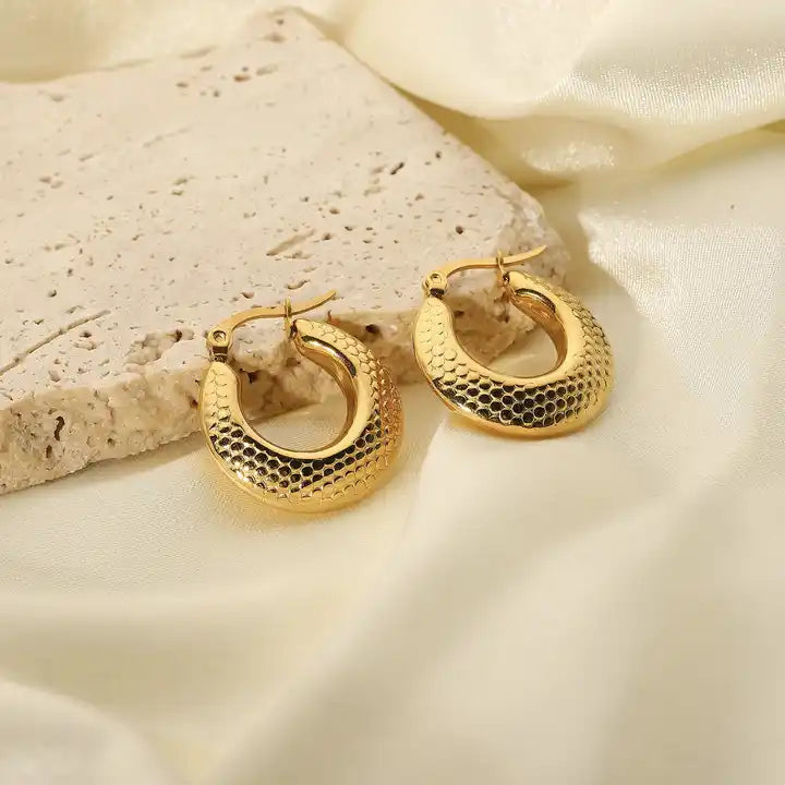 Elegant Hoop Earrings